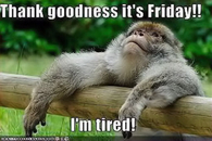 TGIF