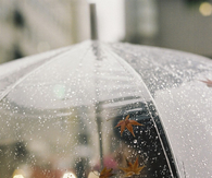 Clear umbrella
