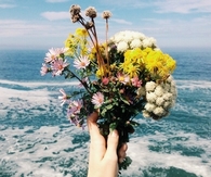 Wild flower bouquet