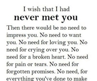 I Wish I Had Never Met You