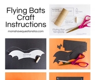 Flying Bat Craft