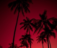 Red sunset