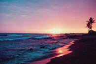 Pretty pink sunset