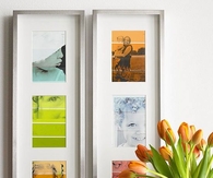 Colorful photo art