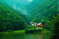 Transylvanian dream