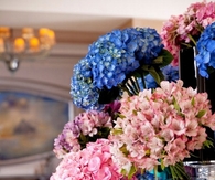 Colorful bouquets