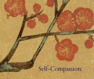 self compassion