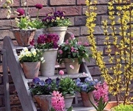 Flower Pot Stand