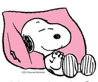 I love Sunday