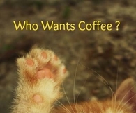 who wants coffee
