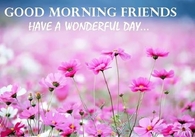 Good Morning Friends