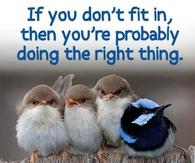 If you don't fit in