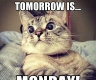 tomorrow is Monday