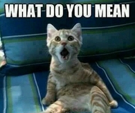 tomorrow is Monday