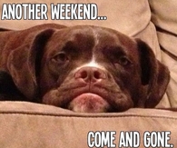 another weekend gone