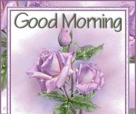 Good Morning