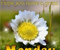 Have a great Monday