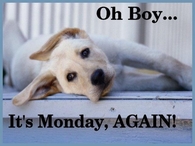 its Monday again