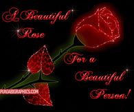 A beautiful rose for a beautiful person