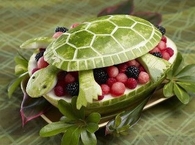 Watermelon Turtle
