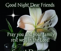 Good Night Dear Friends