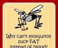 Mosquitos