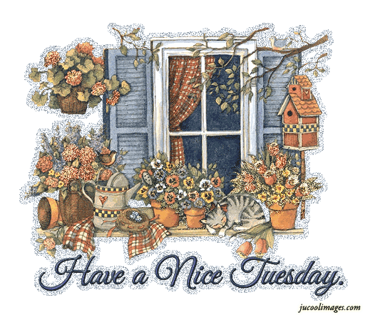 Have a Nice Tuesday