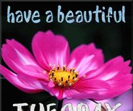 Have a beautiful Tuesday