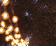 Party lights
