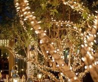 Glittering with lights