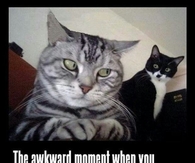 That akward moment
