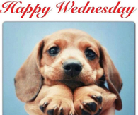 Happy Wednesday