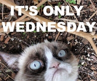 Its only Wednesday