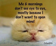 Me and Mornings