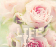 Life is an adventure