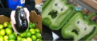 20 Funny Looking Fruits and Vegetables