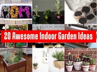 20 Awesome Indoor Garden Ideas