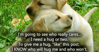 I need a hug