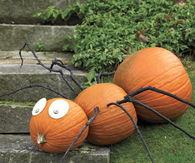 Spider Pumpkin
