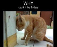 Why can't it be friday