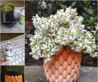 DIY Layered Ombre Vase