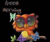 Good Morning
