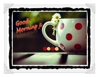 Good Morning