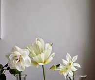 Simplicity 