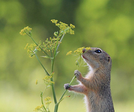 Take time to smell the flowers