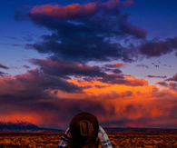 Lone cowboy