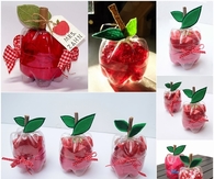 Make Plastic Bottles Apple Shaped Boxes