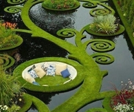 Amazing Garden