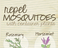 Repel Mosquitos