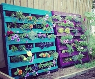 Pallet Garden